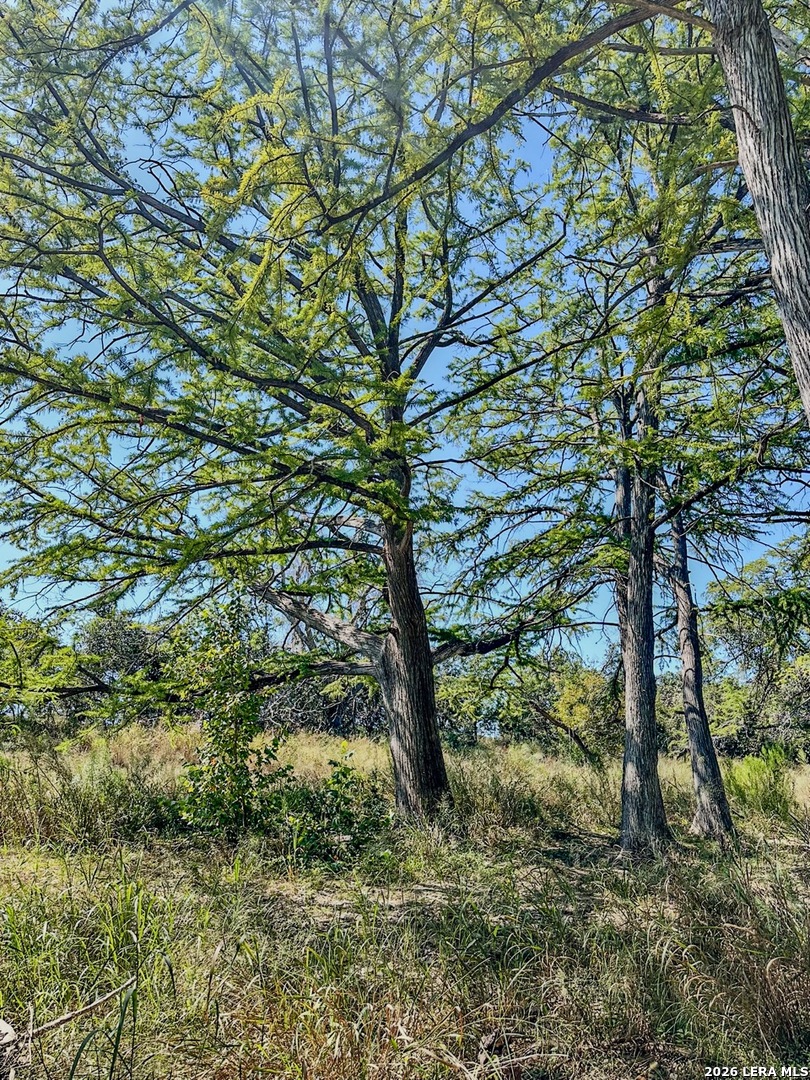 0 Ranch Rd 473 Blanco, TX 78606 - Photo 14 of 55