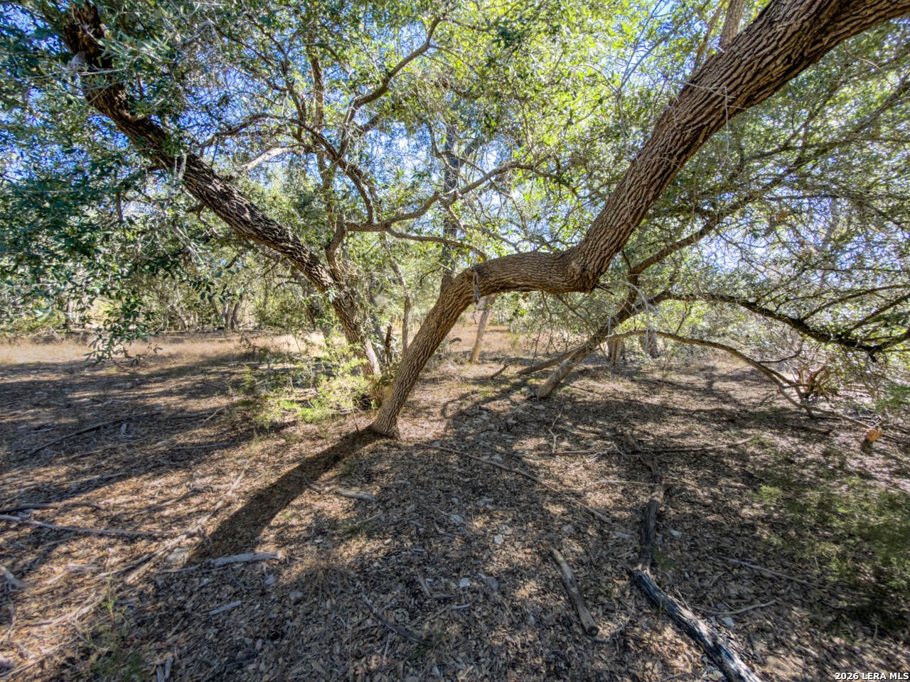 0 Ranch Rd 473 Blanco, TX 78606 - Photo 17 of 55