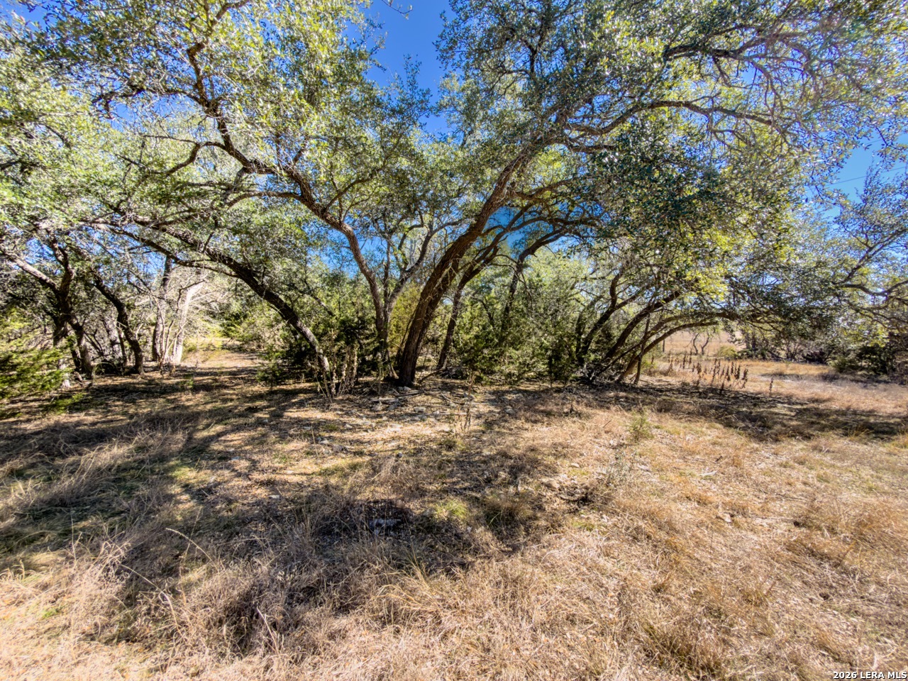 0 Ranch Rd 473 Blanco, TX 78606 - Photo 19 of 55