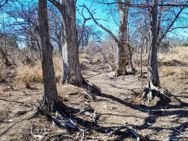 a view of outdoor space with trees
