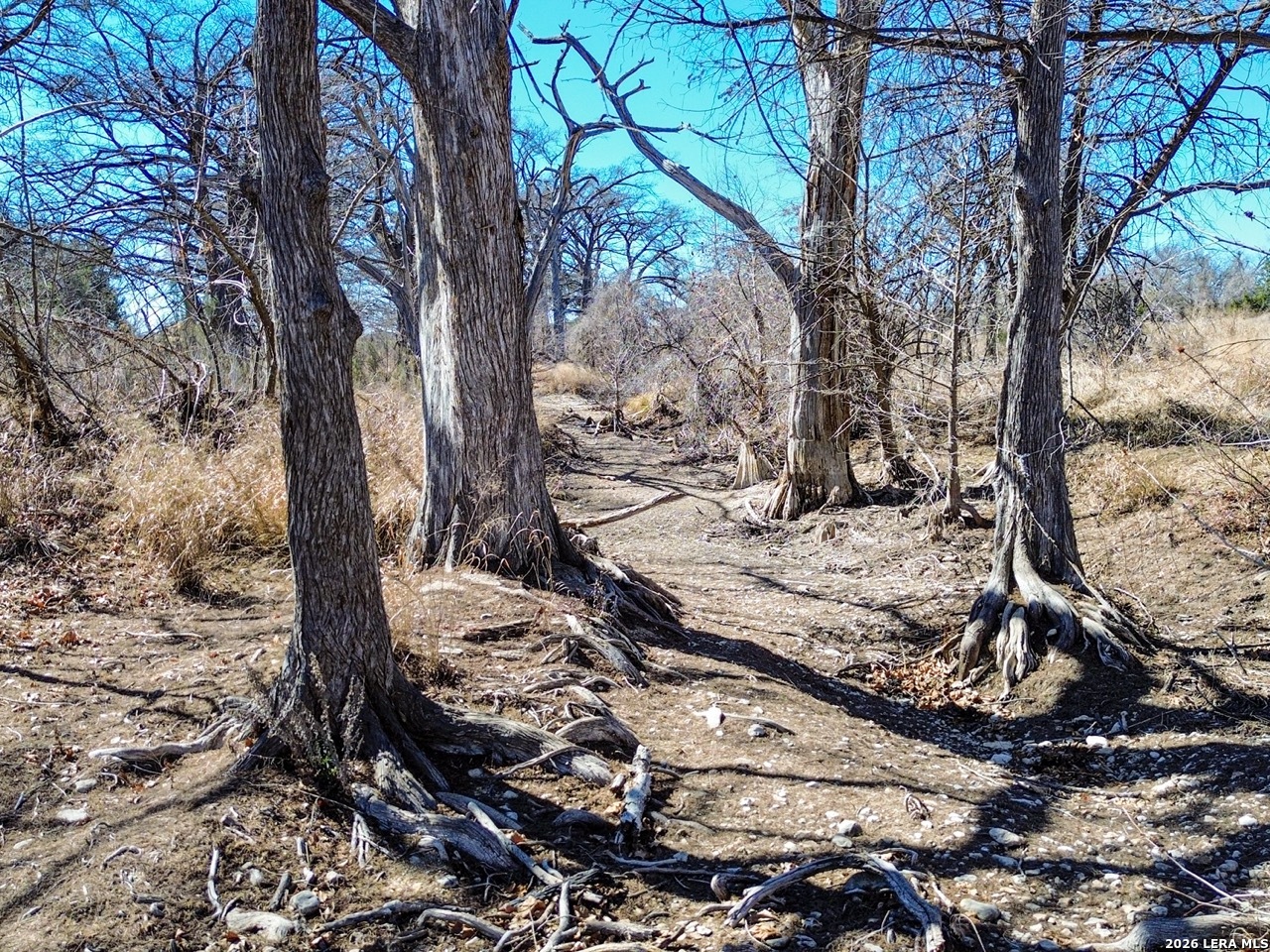 0 Ranch Rd 473 Blanco, TX 78606 - Photo 20 of 55