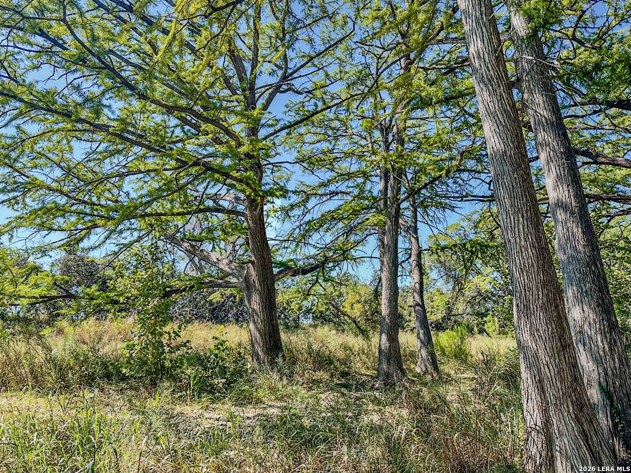 0 Ranch Rd 473 Blanco, TX 78606 - Photo 2 of 55