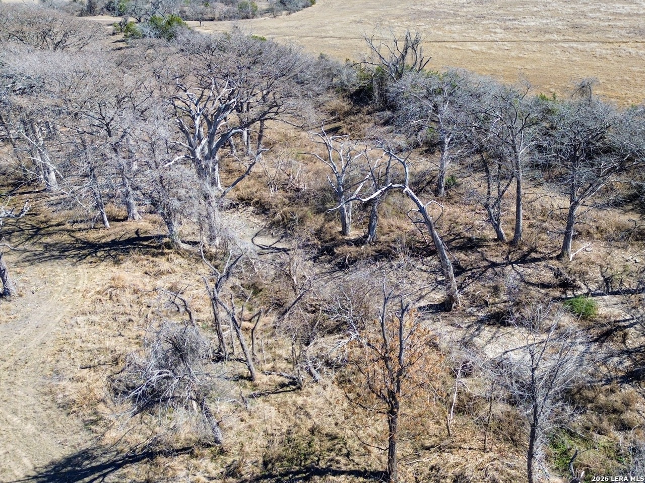 0 Ranch Rd 473 Blanco, TX 78606 - Photo 23 of 55