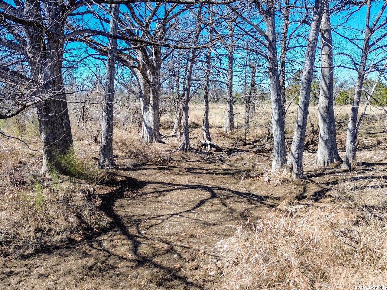 0 Ranch Rd 473 Blanco, TX 78606 - Photo 29 of 55