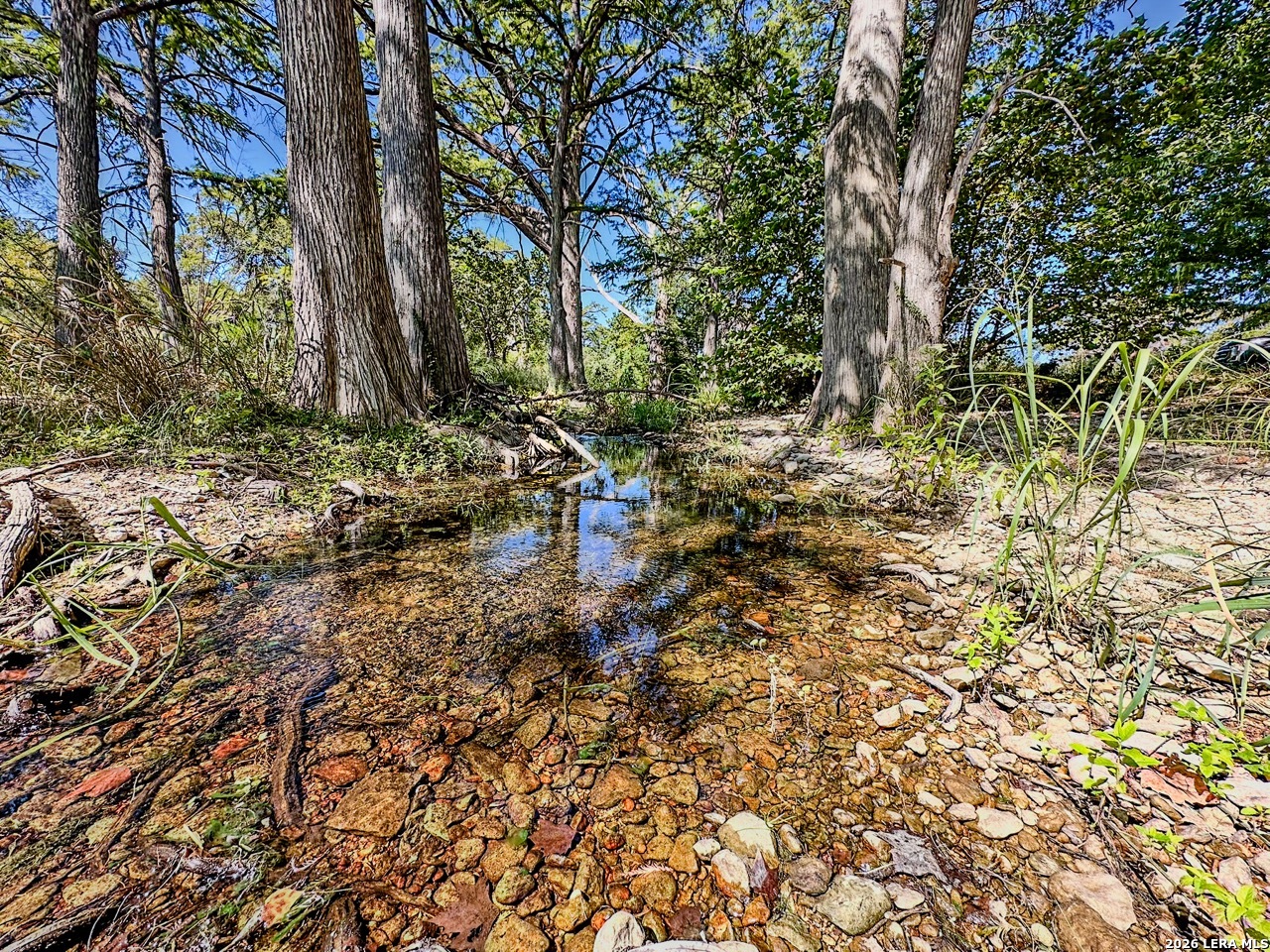 0 Ranch Rd 473 Blanco, TX 78606 - Photo 3 of 55