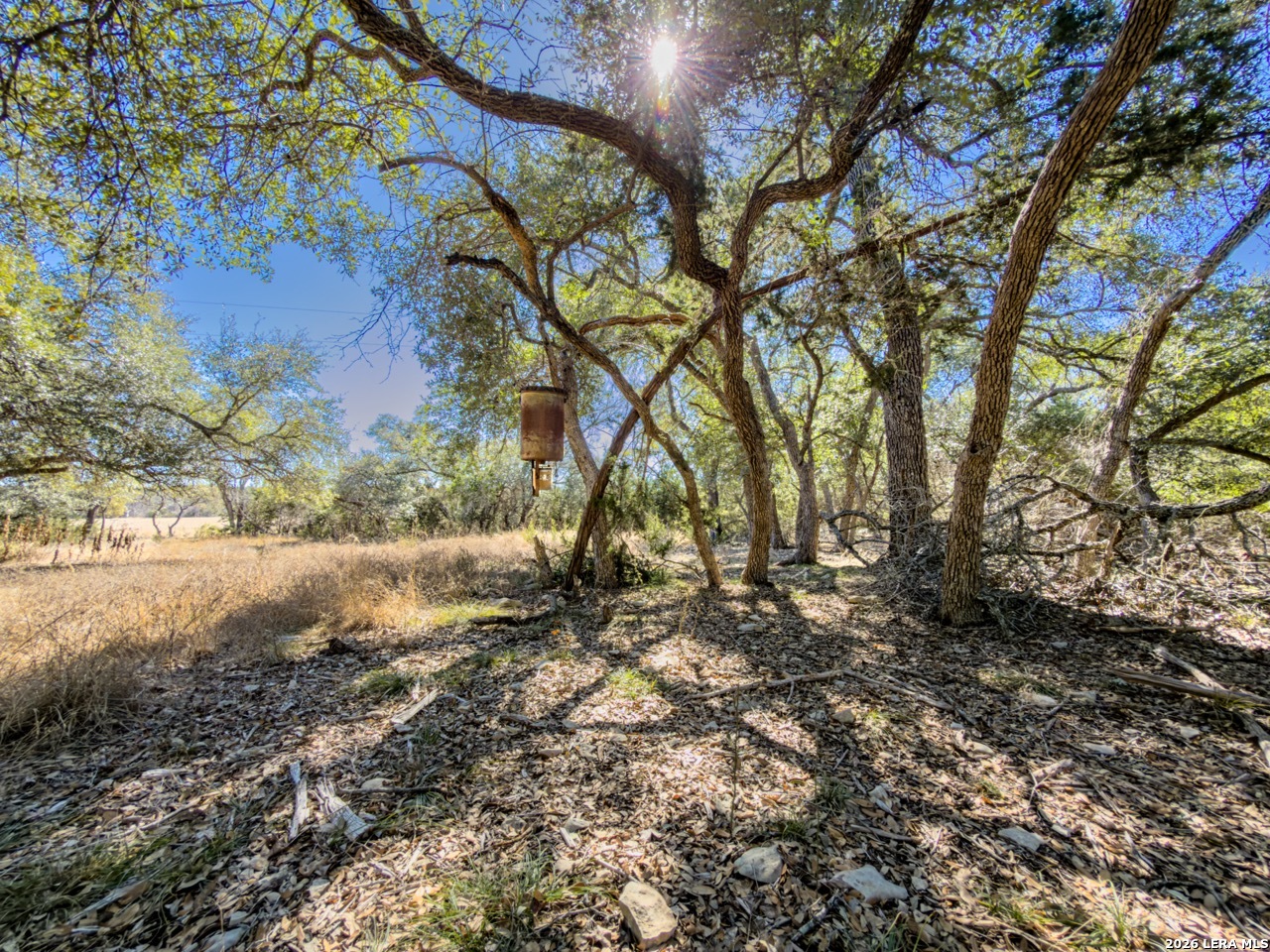 0 Ranch Rd 473 Blanco, TX 78606 - Photo 4 of 55