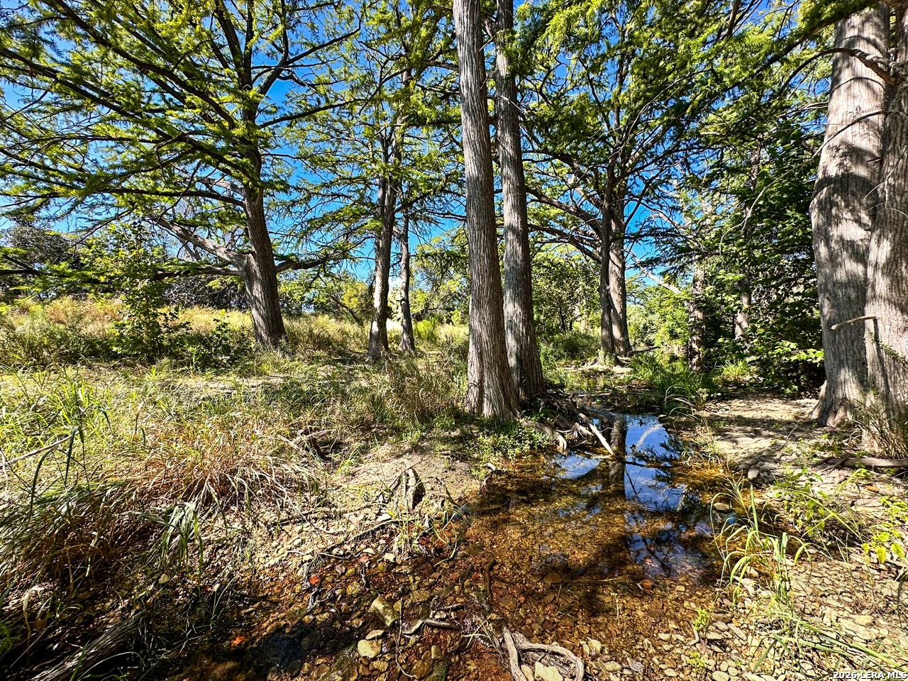 0 Ranch Rd 473 Blanco, TX 78606 - Photo 6 of 55