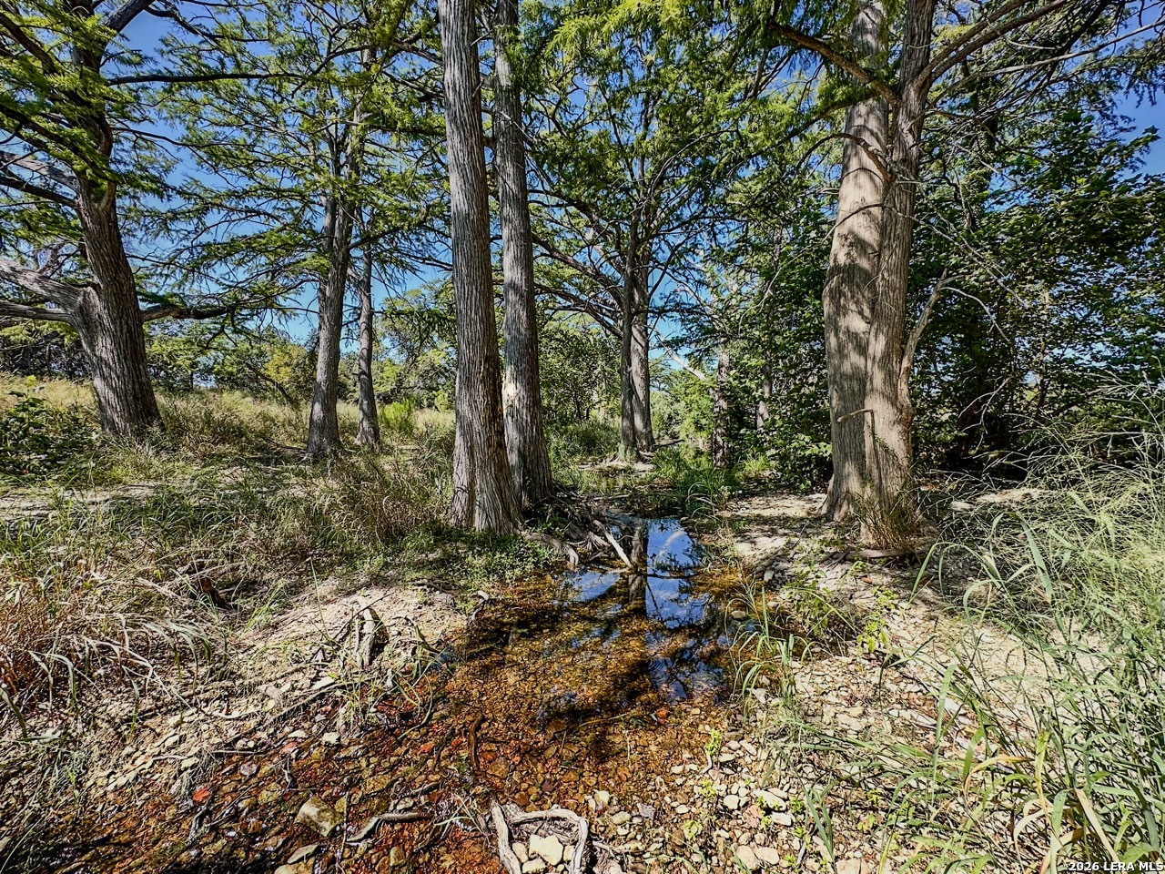 0 Ranch Rd 473 Blanco, TX 78606 - Photo 9 of 55