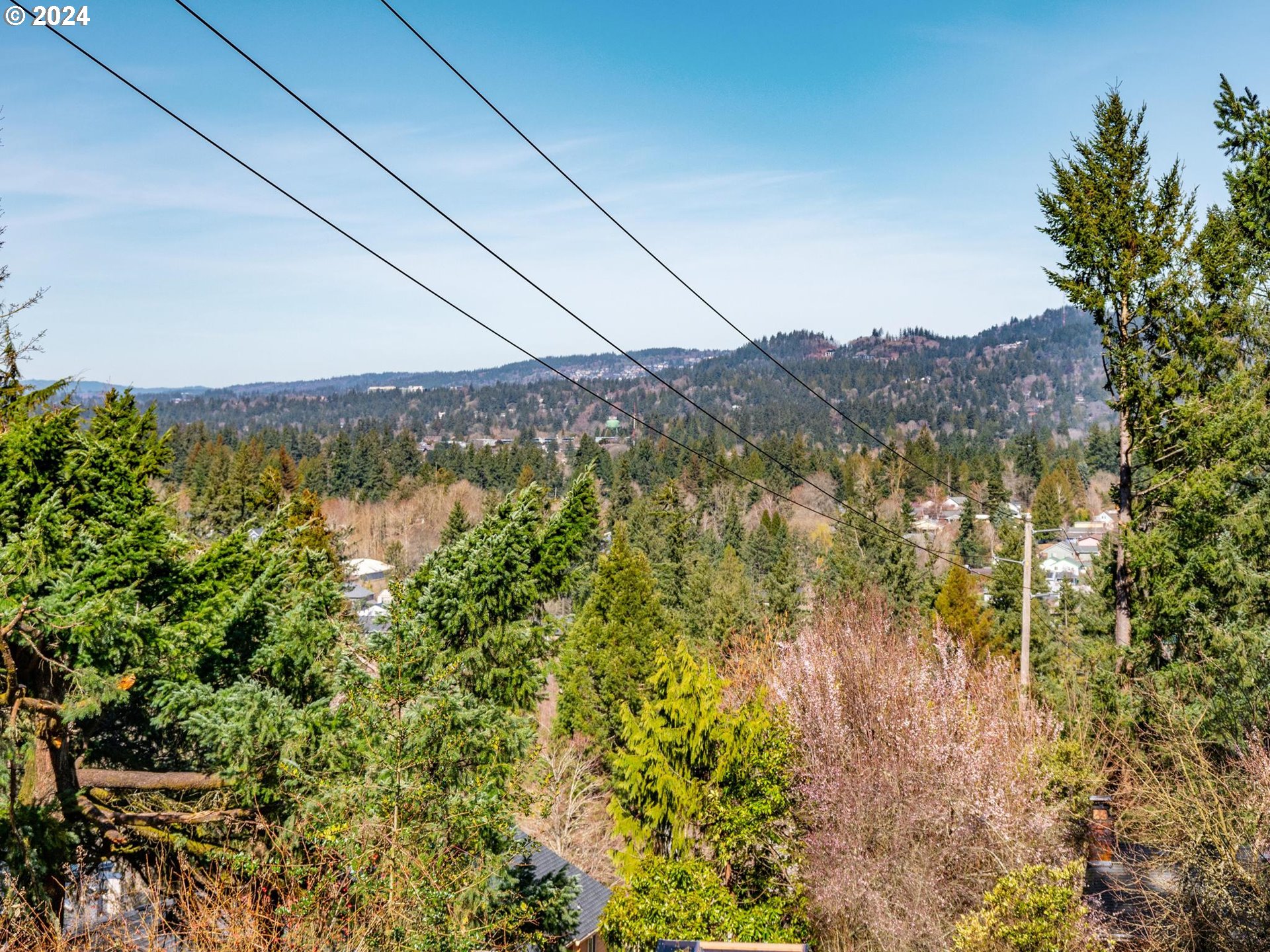 6435 Southwest Brugger Street Portland, OR 97219 - Photo 16 of 43 a view of a yard