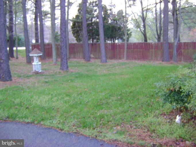 17868 Piney Point Road Tall Timbers, MD 20690 - Photo 13 of 13 a view of a backyard with large trees and wooden fence