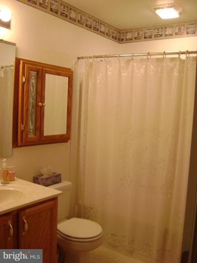 17868 Piney Point Road Tall Timbers, MD 20690 - Photo 8 of 13 a bathroom with a sink a toilet and shower curtain