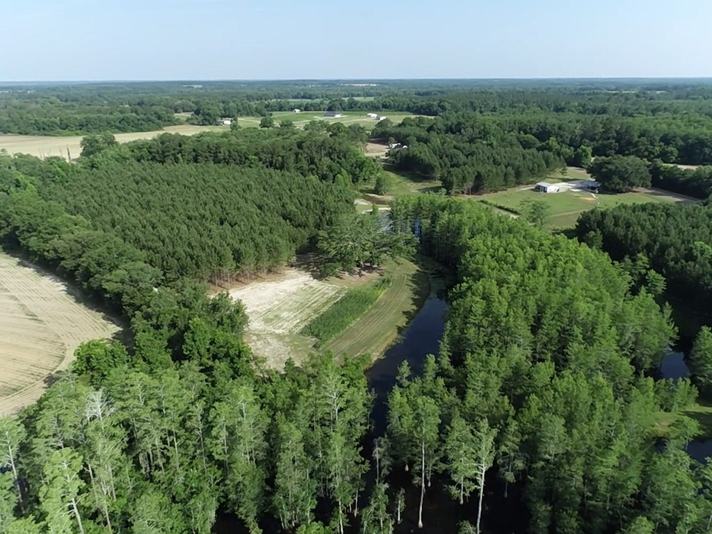 3876 D D Hodge Road Cottonwood, AL 36320 - Photo 39 of 48