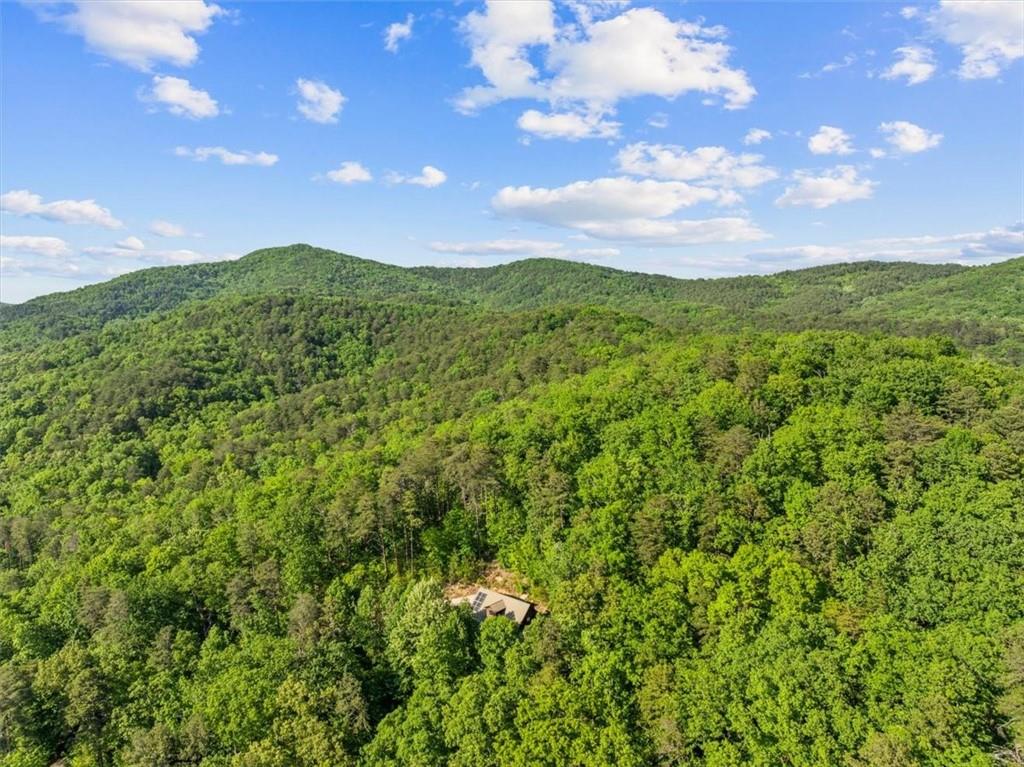 18787 Highway 136 Sugar Valley, GA 30746 - Photo 36 of 62