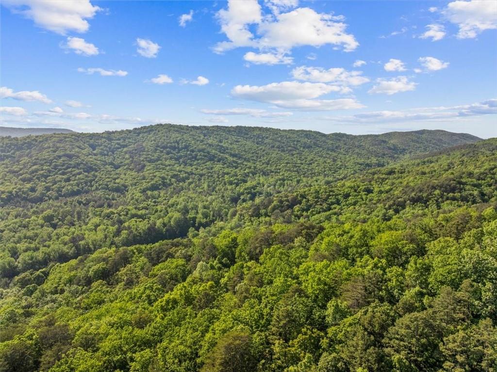 18787 Highway 136 Sugar Valley, GA 30746 - Photo 45 of 62