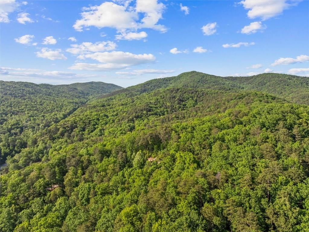 18787 Highway 136 Sugar Valley, GA 30746 - Photo 46 of 62