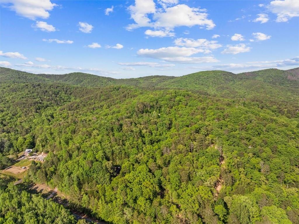 18787 Highway 136 Sugar Valley, GA 30746 - Photo 47 of 62