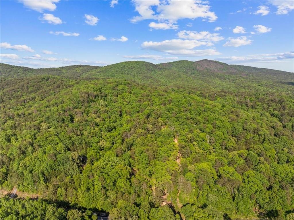 18787 Highway 136 Sugar Valley, GA 30746 - Photo 49 of 62