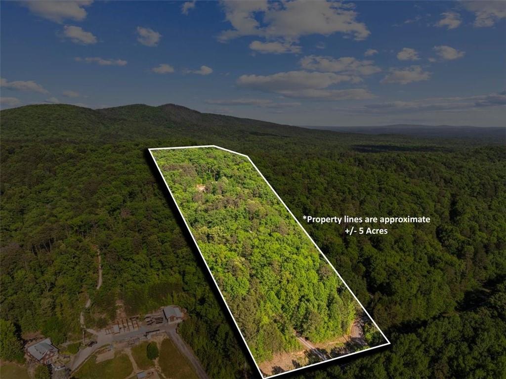 18787 Highway 136 Sugar Valley, GA 30746 - Photo 52 of 62