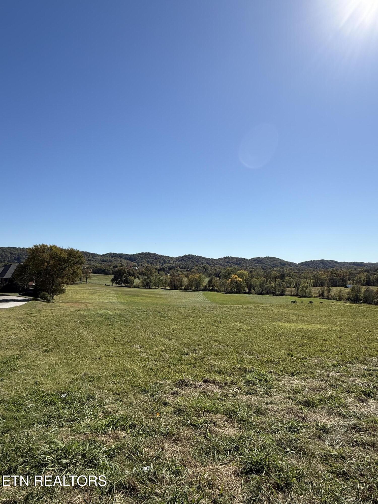 7720 West Emory Road Knoxville, TN 37931 - Photo 2 of 6 IMG_0498 (002)