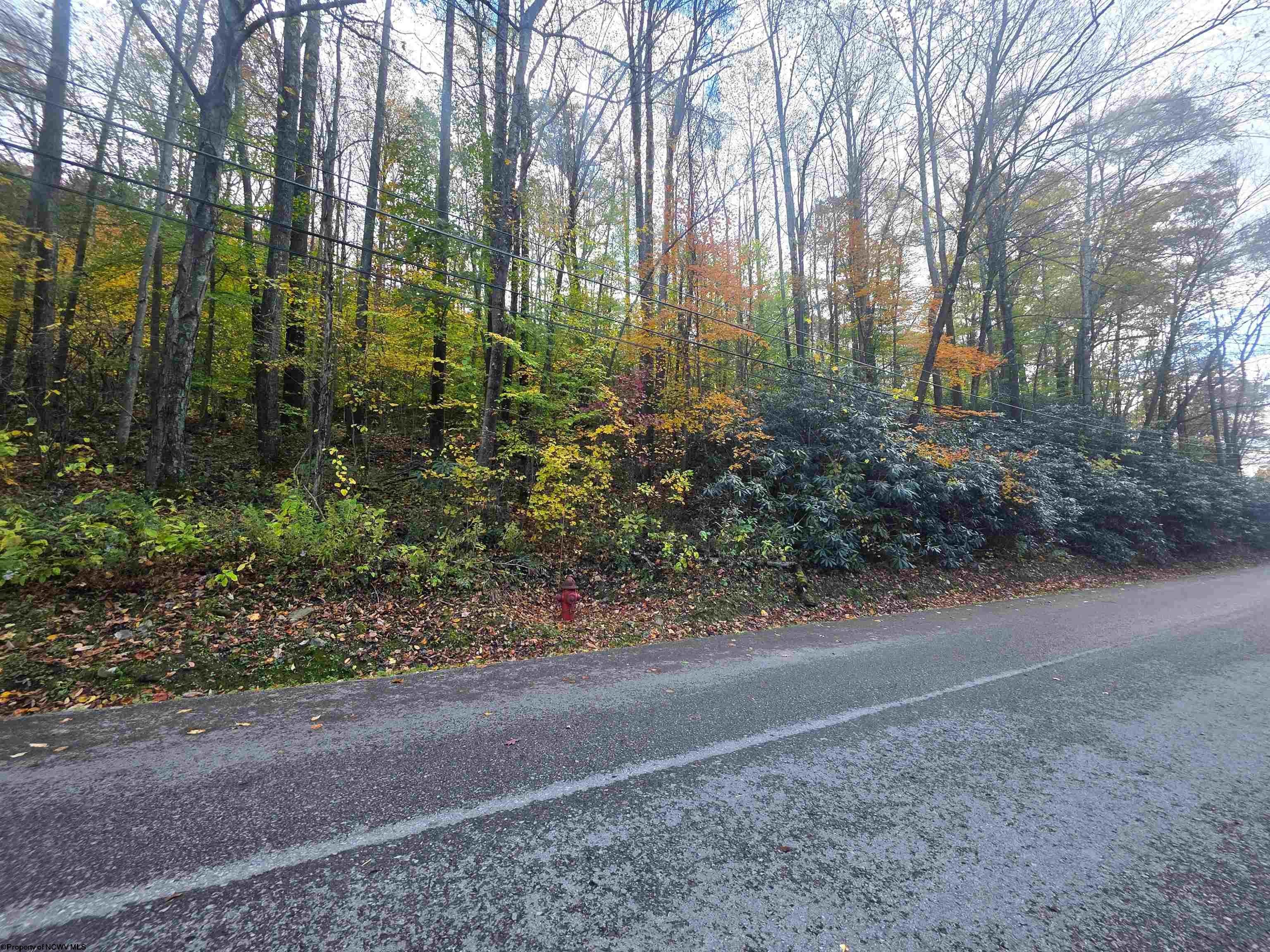 Tbd Campground Road Tunnelton, WV 26444 - Photo 5 of 5 Gallery Image 5