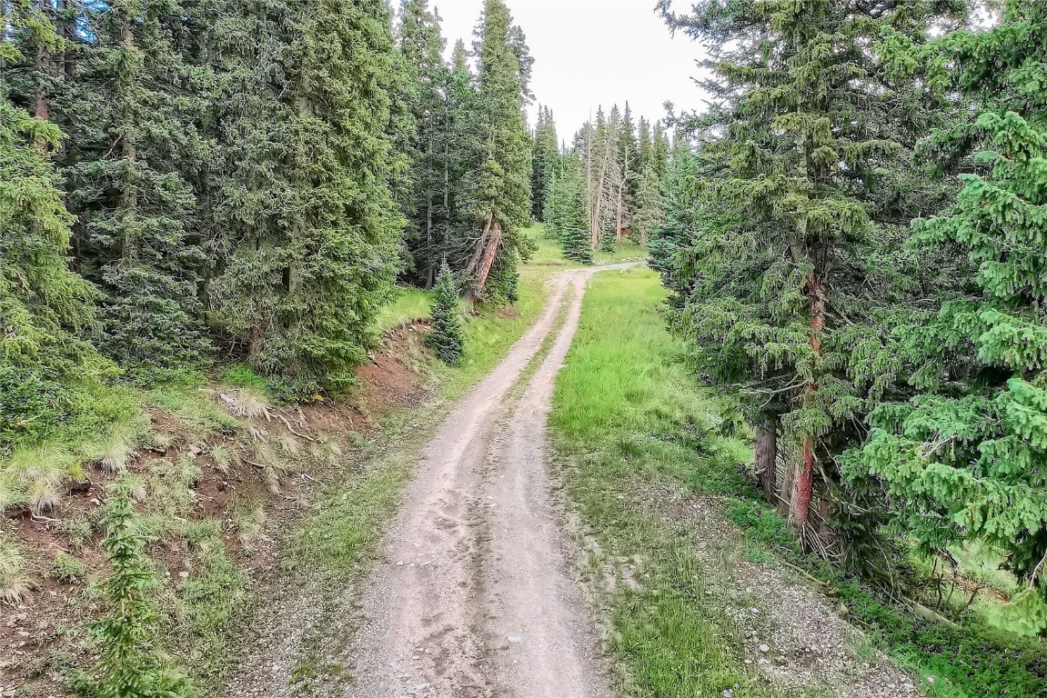 59 Lazy Rex Road Alma, CO 80420 - Photo 3 of 10