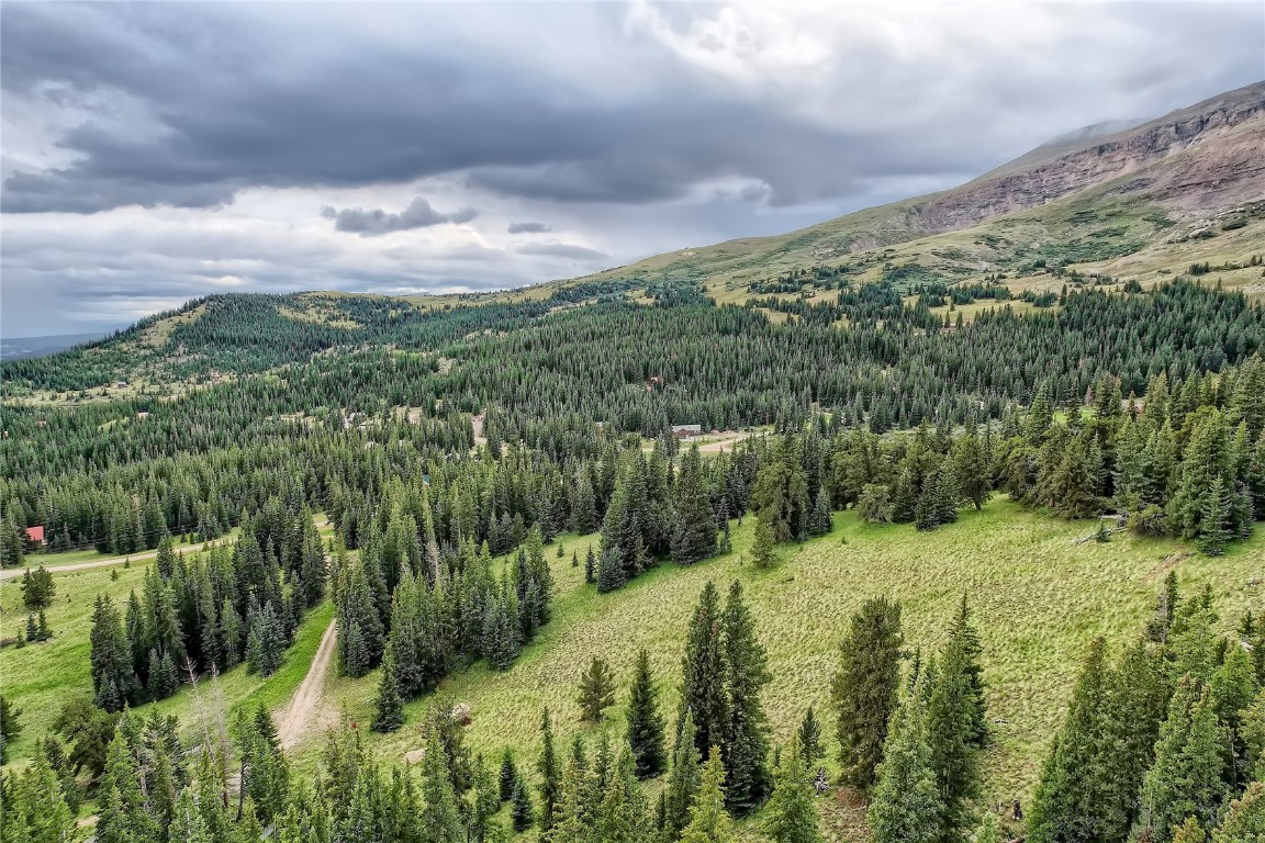 59 Lazy Rex Road Alma, CO 80420 - Photo 4 of 10