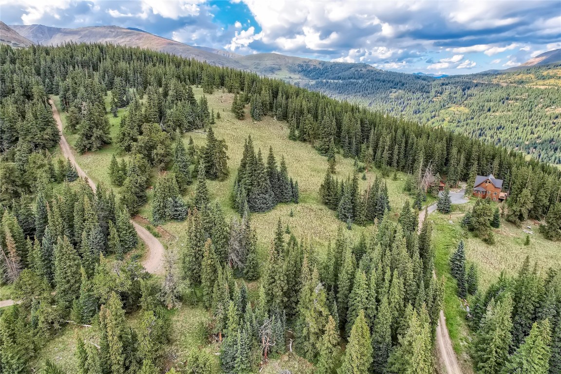 59 Lazy Rex Road Alma, CO 80420 - Photo 5 of 10