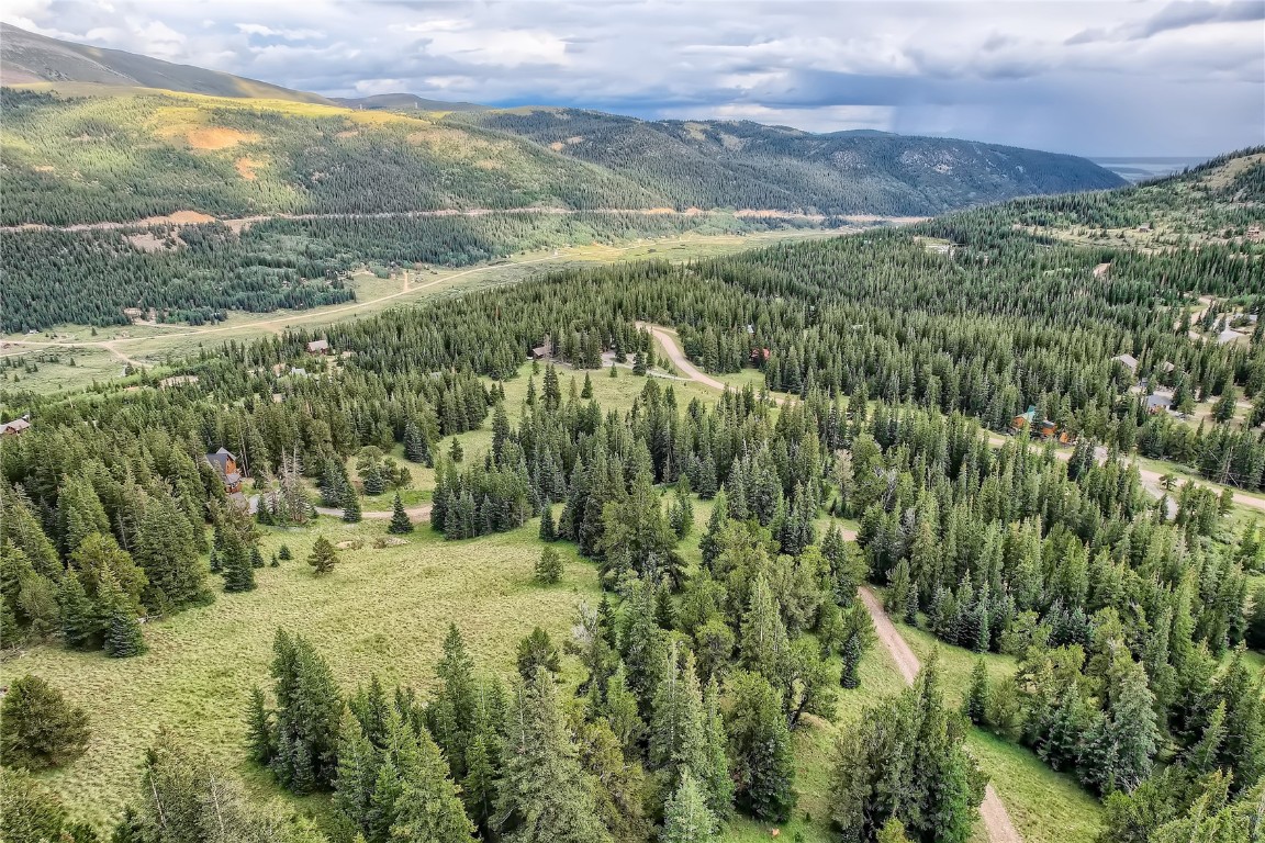 59 Lazy Rex Road Alma, CO 80420 - Photo 6 of 10