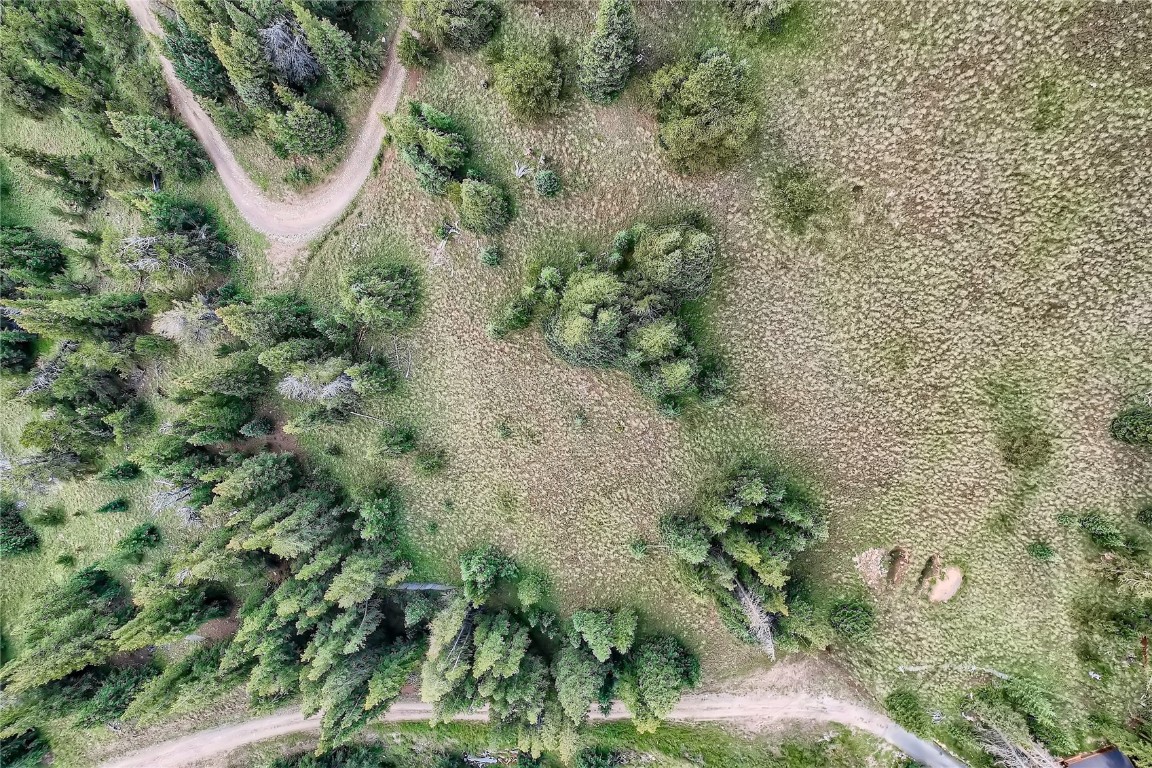 59 Lazy Rex Road Alma, CO 80420 - Photo 10 of 10