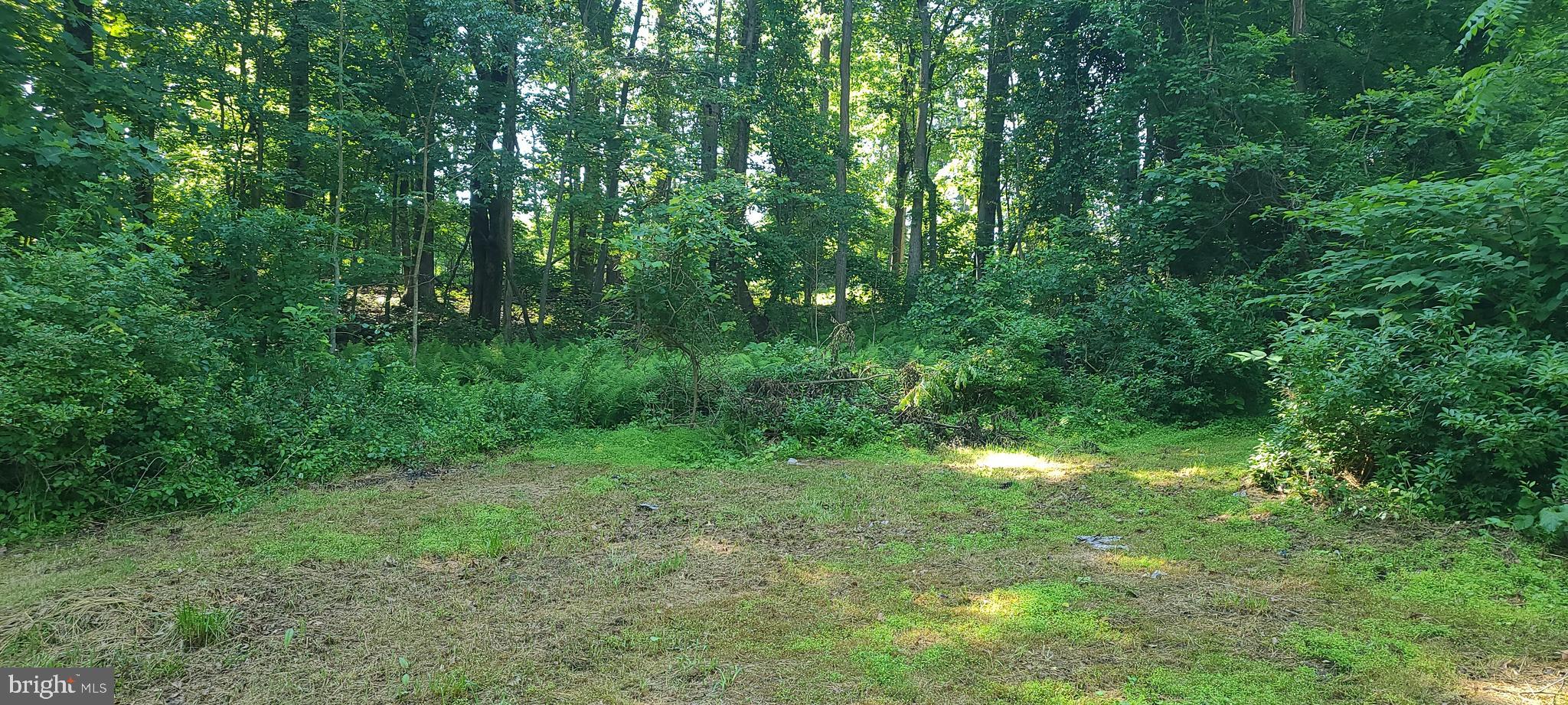 5165 Bull Road Dover, PA 17315 - Photo 4 of 17