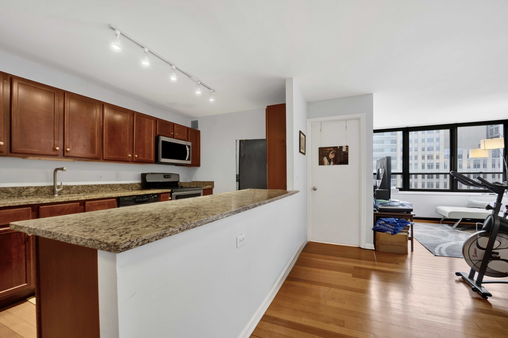 222 East Pearson Street, Unit 1904 Chicago, IL 60611 - Photo 7 of 20