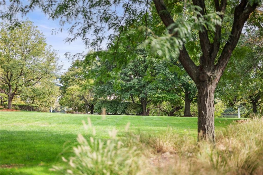 7 Waterside Place Pittsburgh, PA 15222 - Photo 31 of 43 a view of a field with a tree