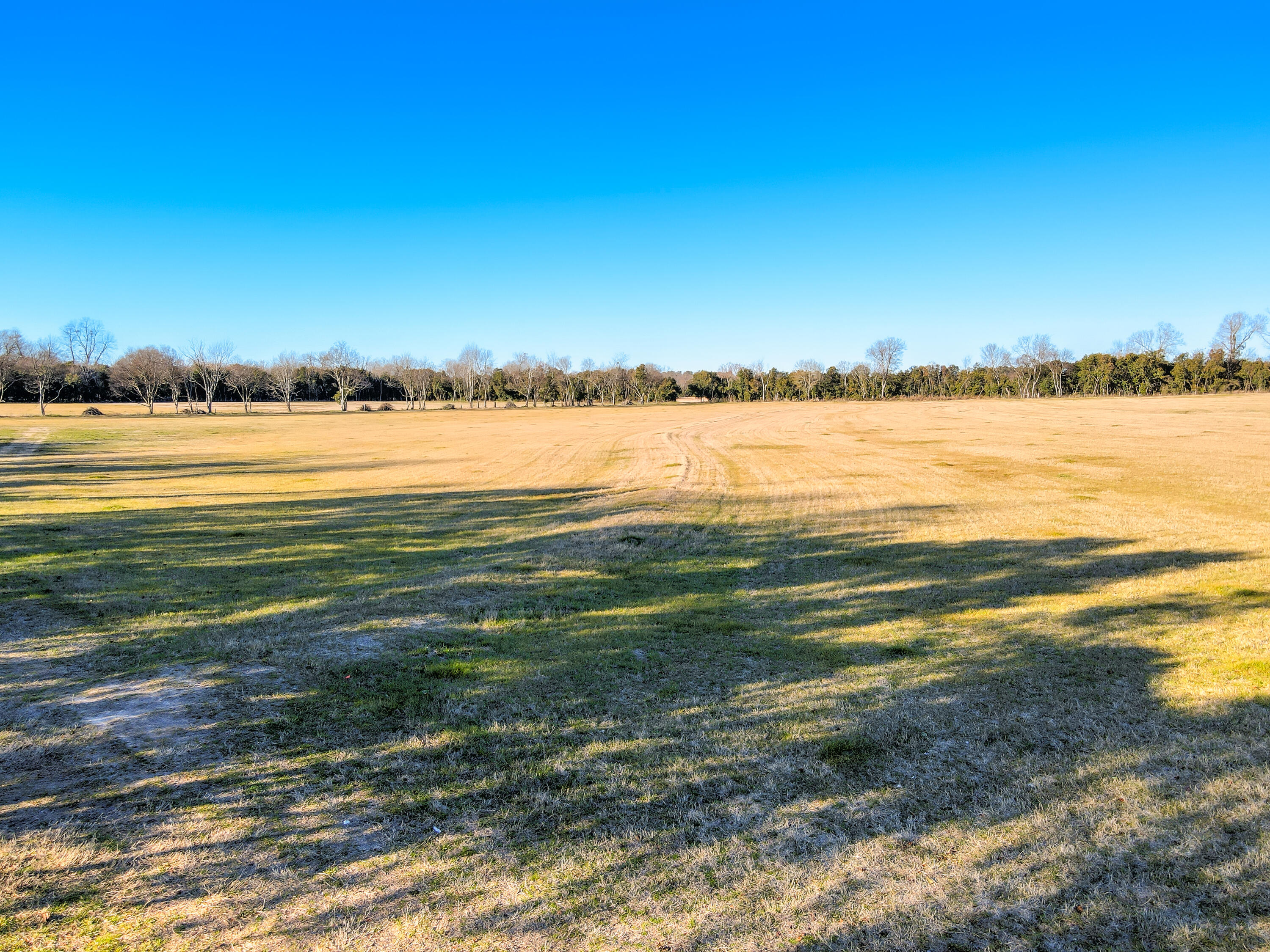 10.80-acres Williston Road Beech Island, SC 29842 - Photo 15 of 16