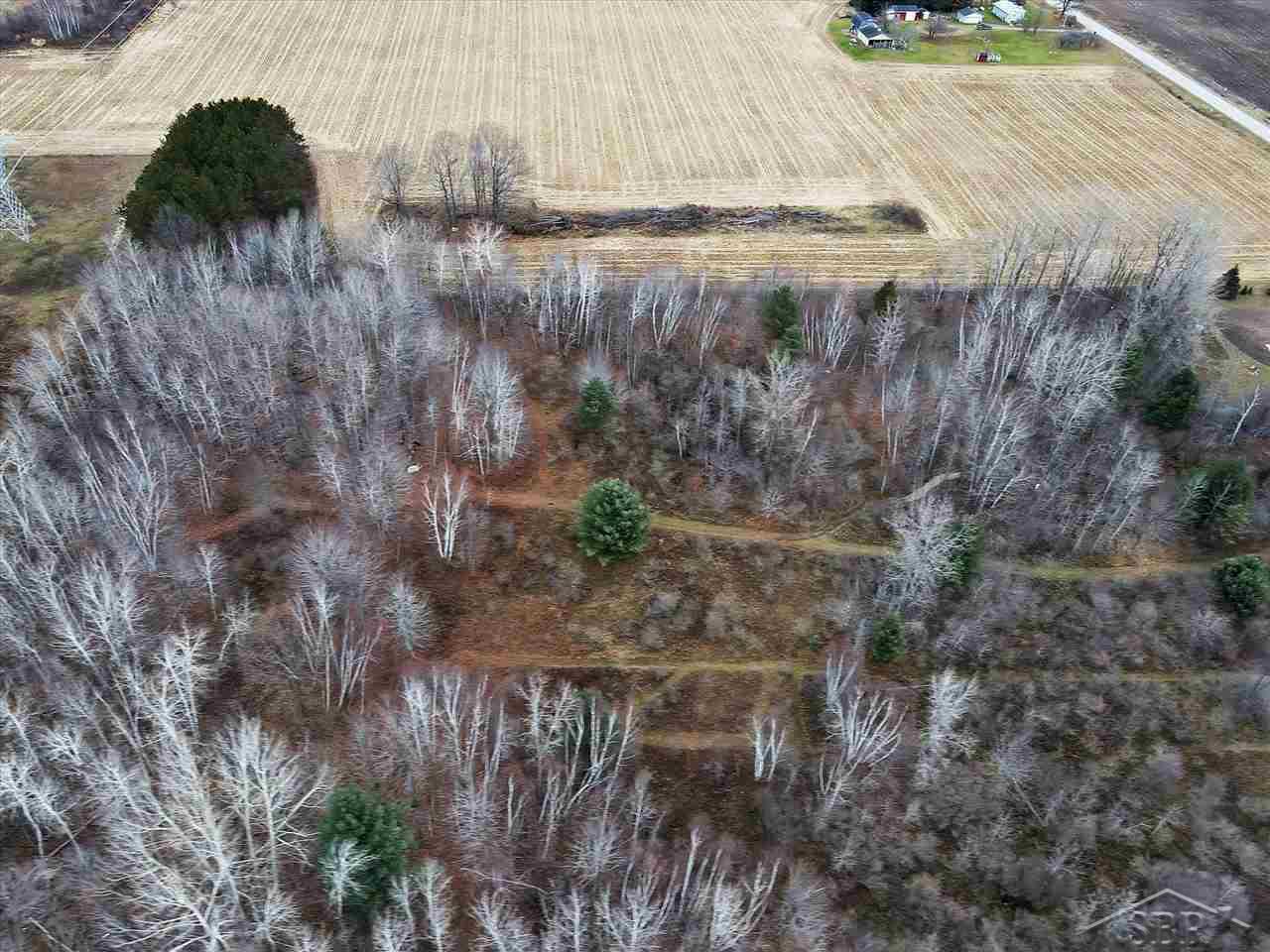 7865 Standish Road Bentley, MI 48613 - Photo 45 of 49 50062135-44.JPG