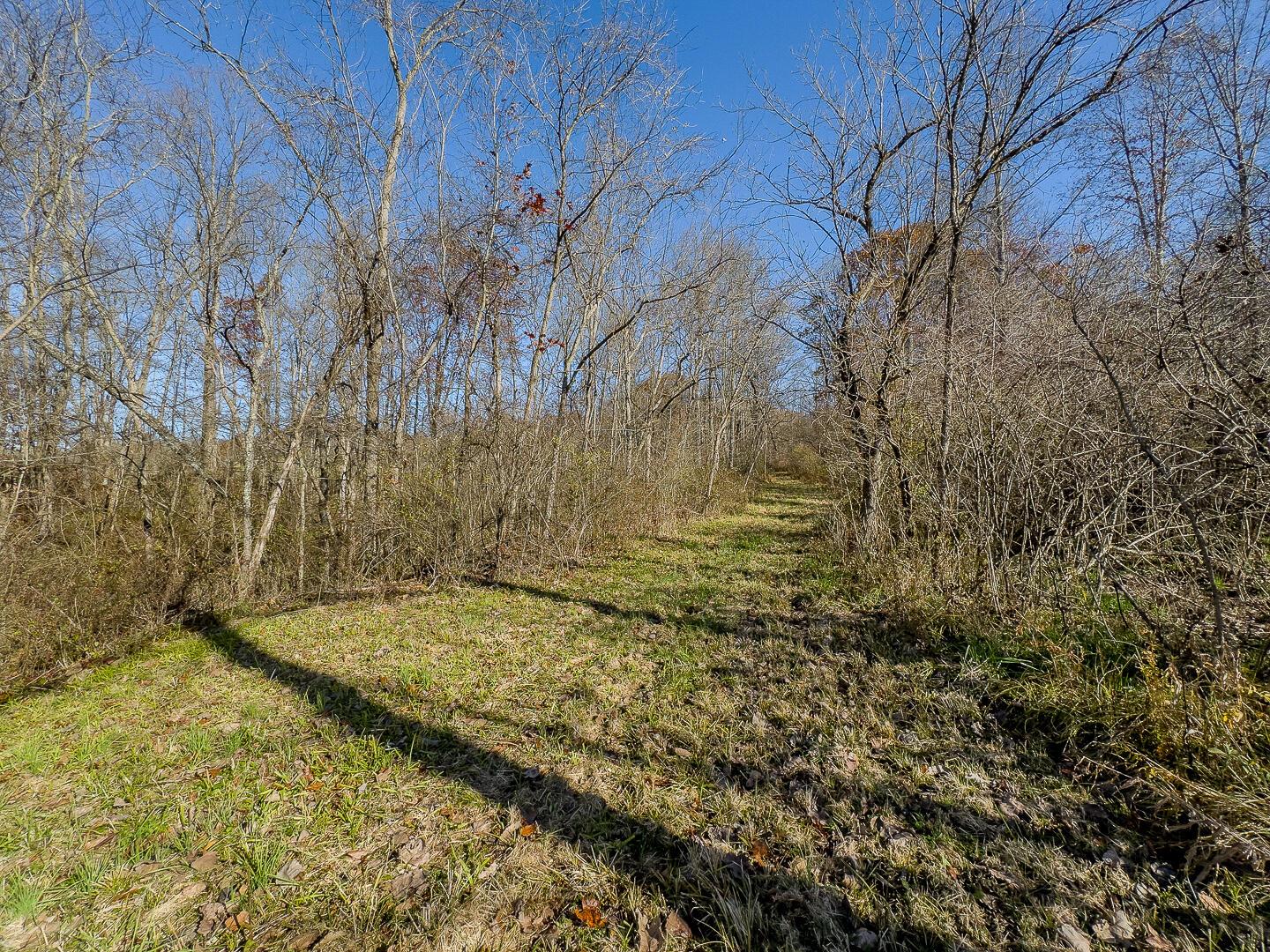 9615 Rural Dale Road Blue Rock, OH 43720 - Photo 69 of 83 9615 Rural Dale Rd-69