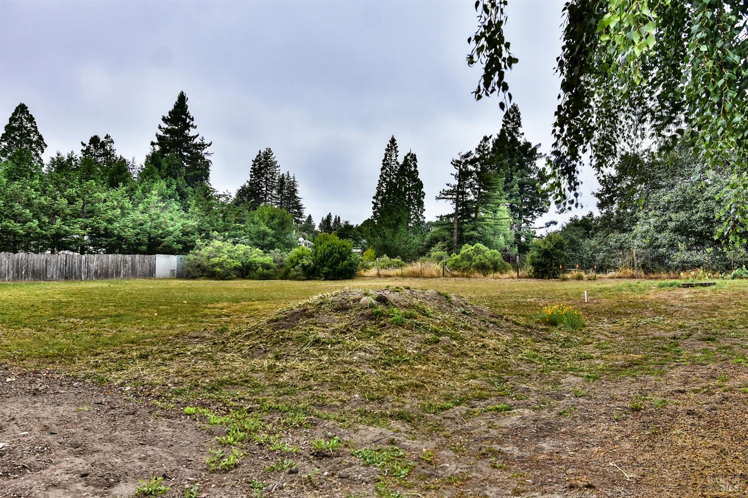 704 Bloomfield Road Sebastopol, CA 95472 - Photo 47 of 47
