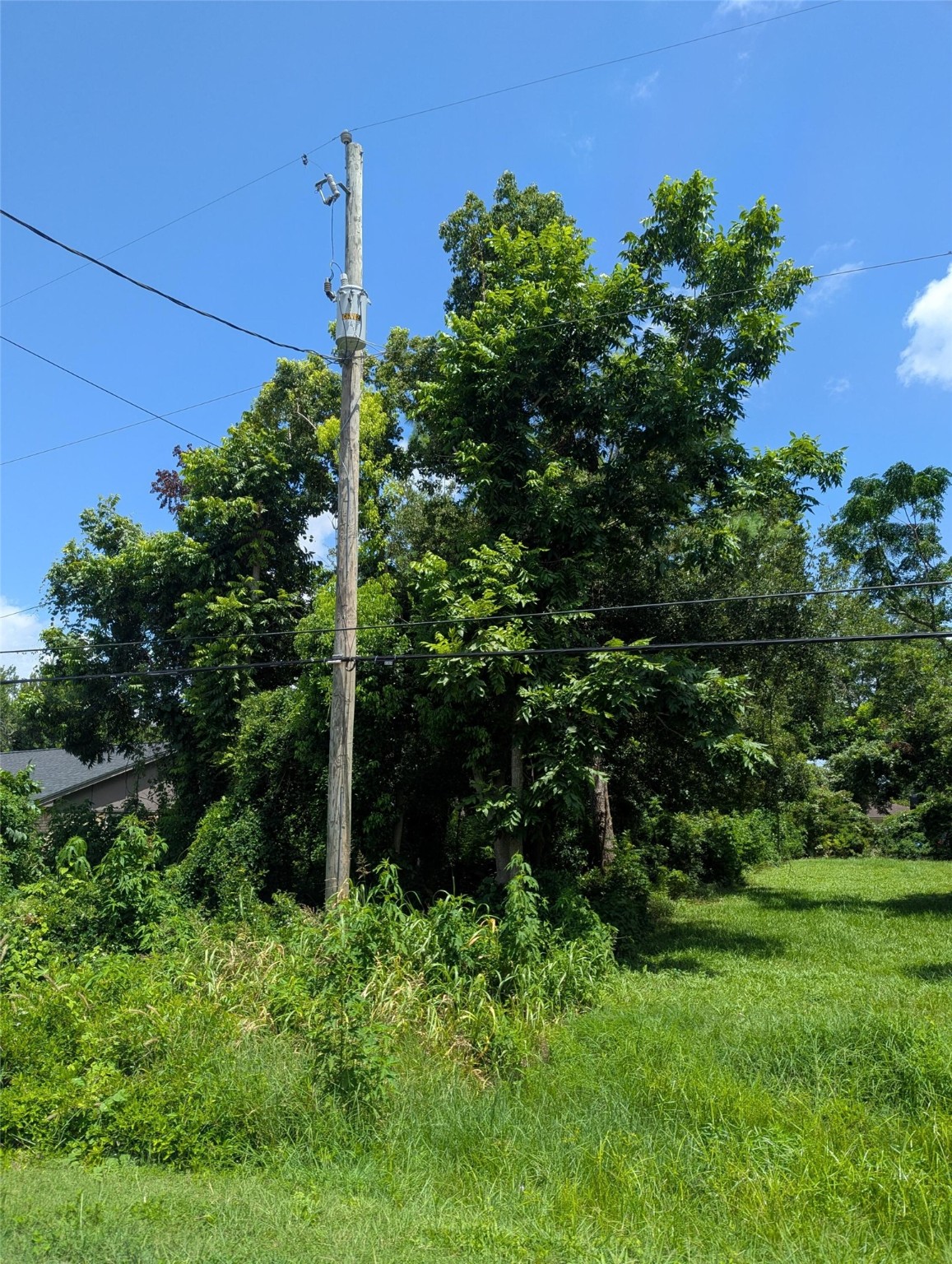 0 Thompson Street La Marque, TX 77568 - Photo 4 of 6