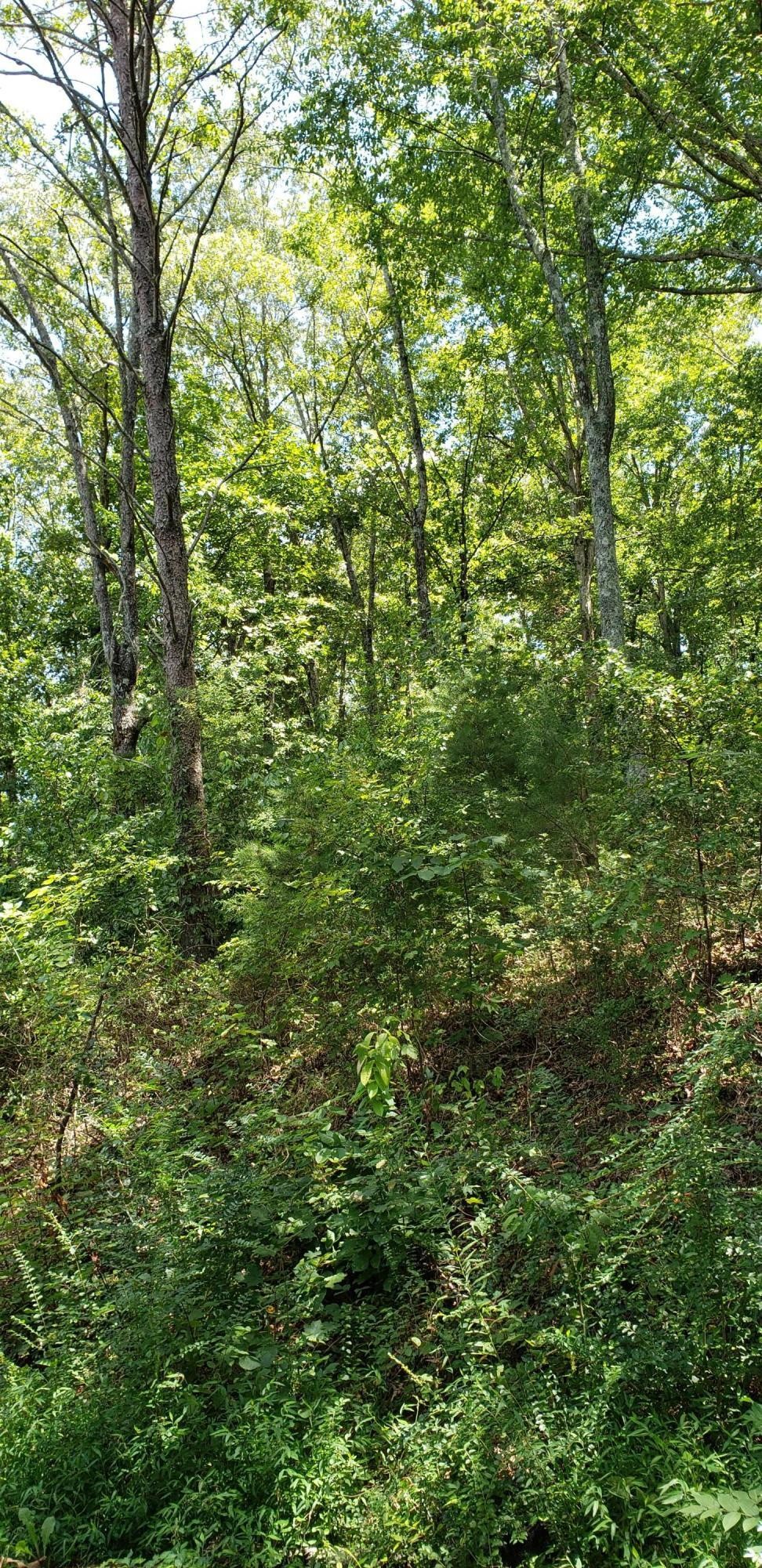0 Treeline Drive Dunlap, TN 37327 - Photo 6 of 10