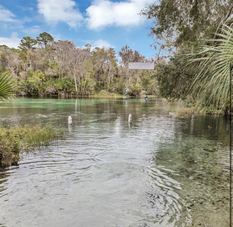 9092 Southwest 192nd Court Road Dunnellon, FL 34432 - Photo 43 of 50
