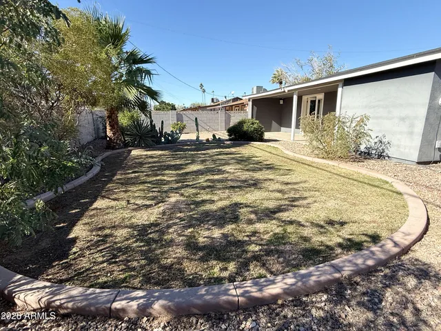 a view of a wooden floor with a tree in the background