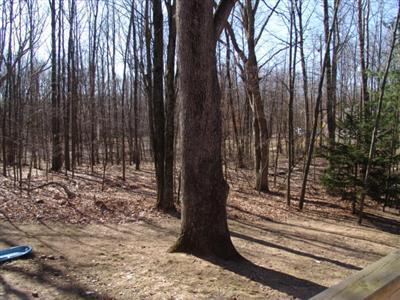 11299 Alpine Road, Unit 85 Canadian Lakes, MI 49346 - Photo 20 of 20 Additional Photo