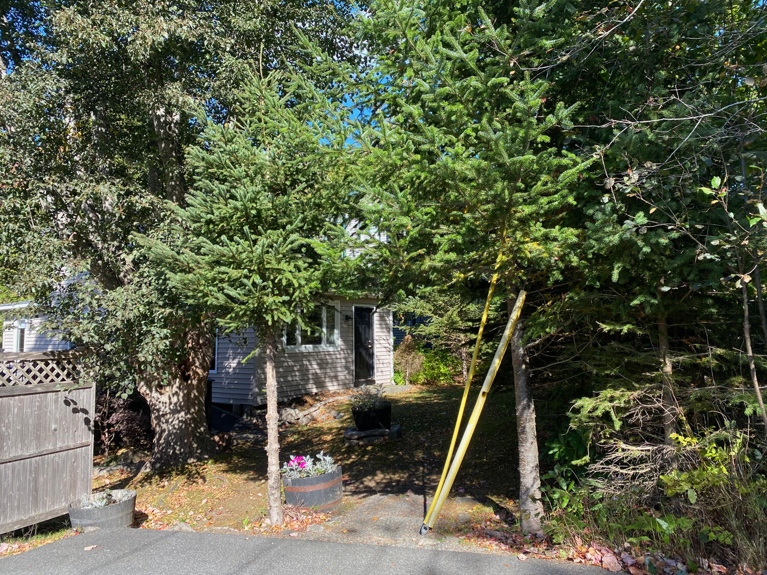 8 Wildwood Road Mount Desert, ME 04675 - Photo 16 of 16 15-Parking & Path to house -5812