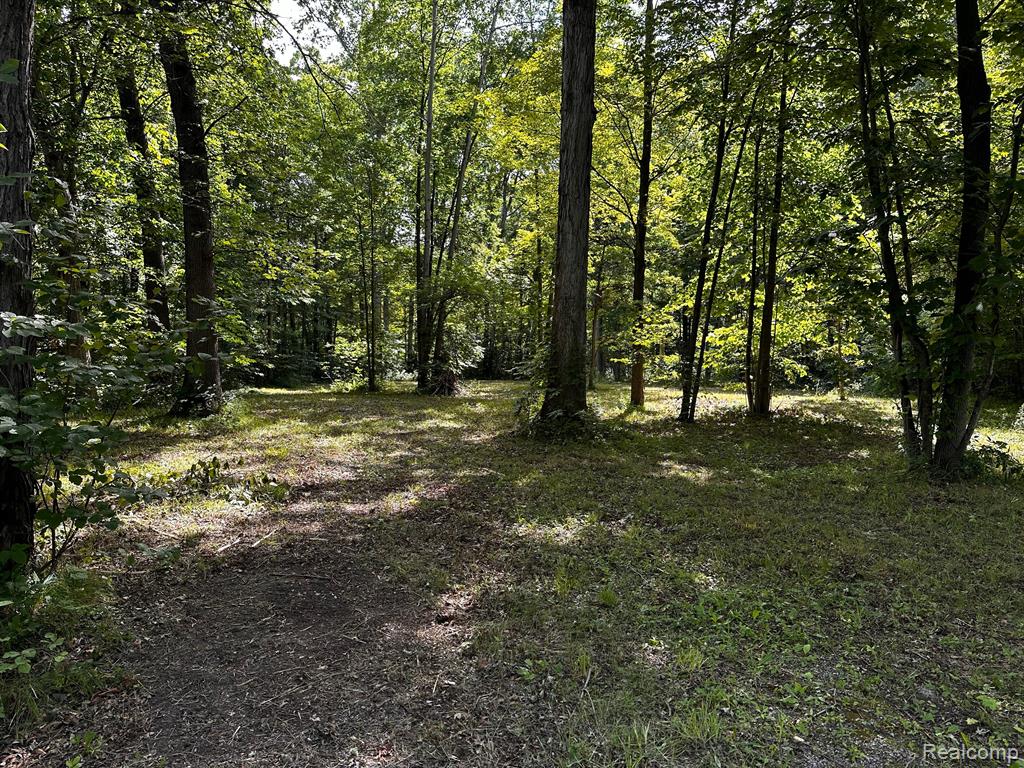00000 Haggerty Road Belleville, MI 48111 - Photo 4 of 7