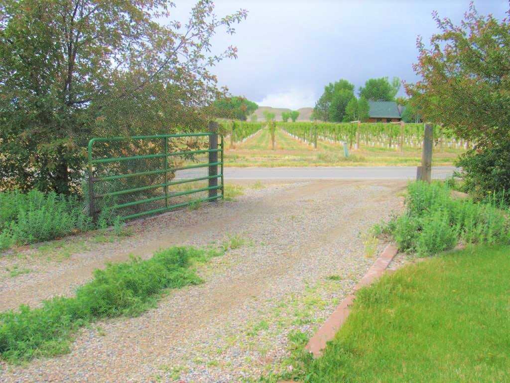 3322 C Road Palisade, CO 81526 - Photo 21 of 21 Gallery Image 21