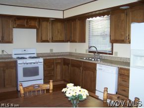 241 Bailey Road Elizabeth, WV 26143 - Photo 3 of 12 New counter tops hardwood fl.