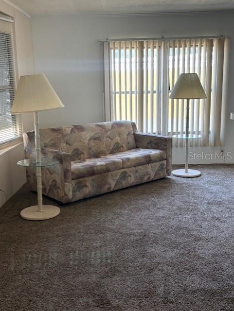 6624 Durian Trail New Port Richey, FL 34653 - Photo 3 of 9 a living room with furniture and a window