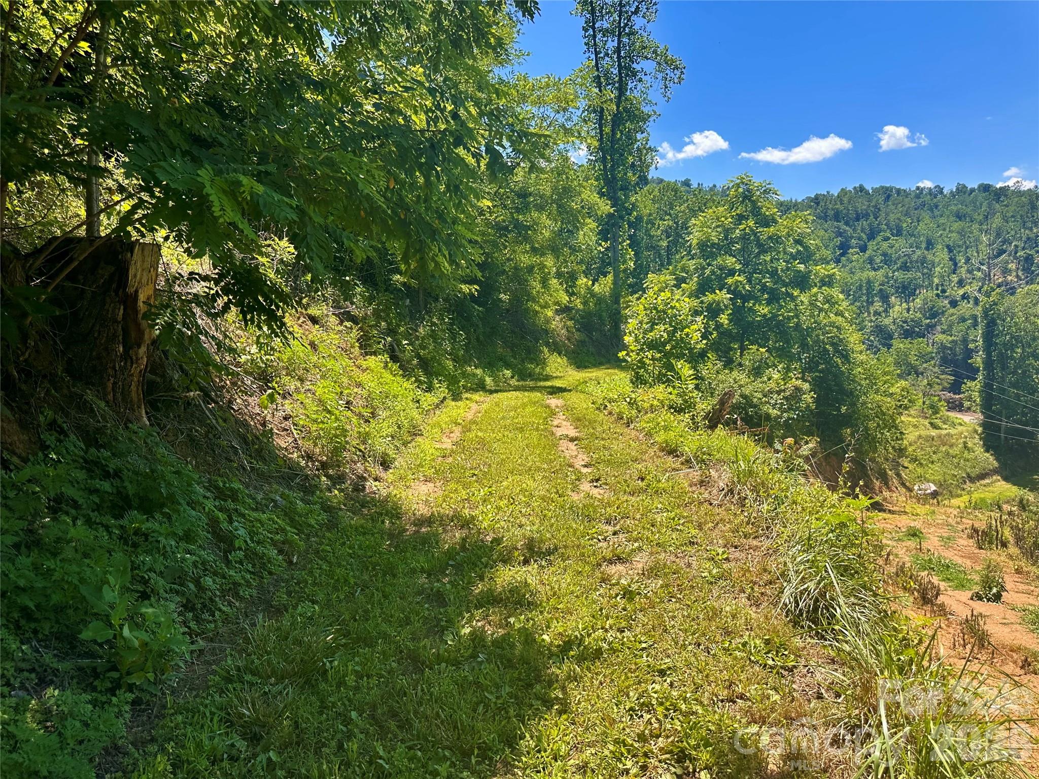 2825 Harrell Hill Road Bakersville, NC 28705 - Photo 40 of 47