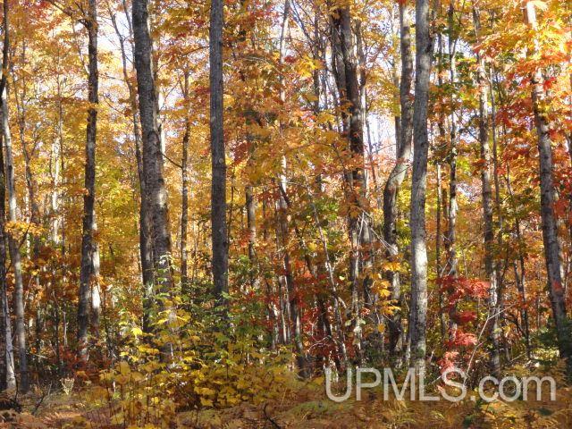 Tbd Tbd Off Townline Road Lanse, MI 49946 - Photo 3 of 18