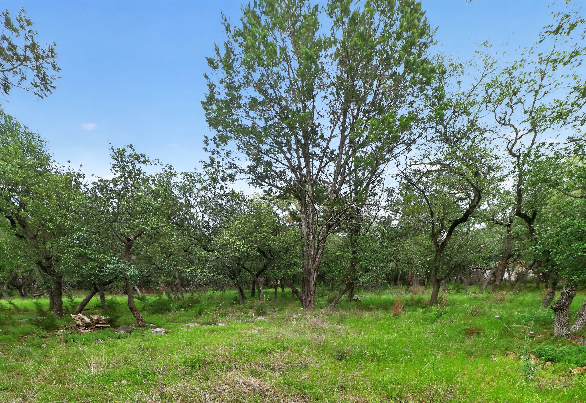 128 Mockingbird Lane Georgetown, TX 78633 - Photo 29 of 32