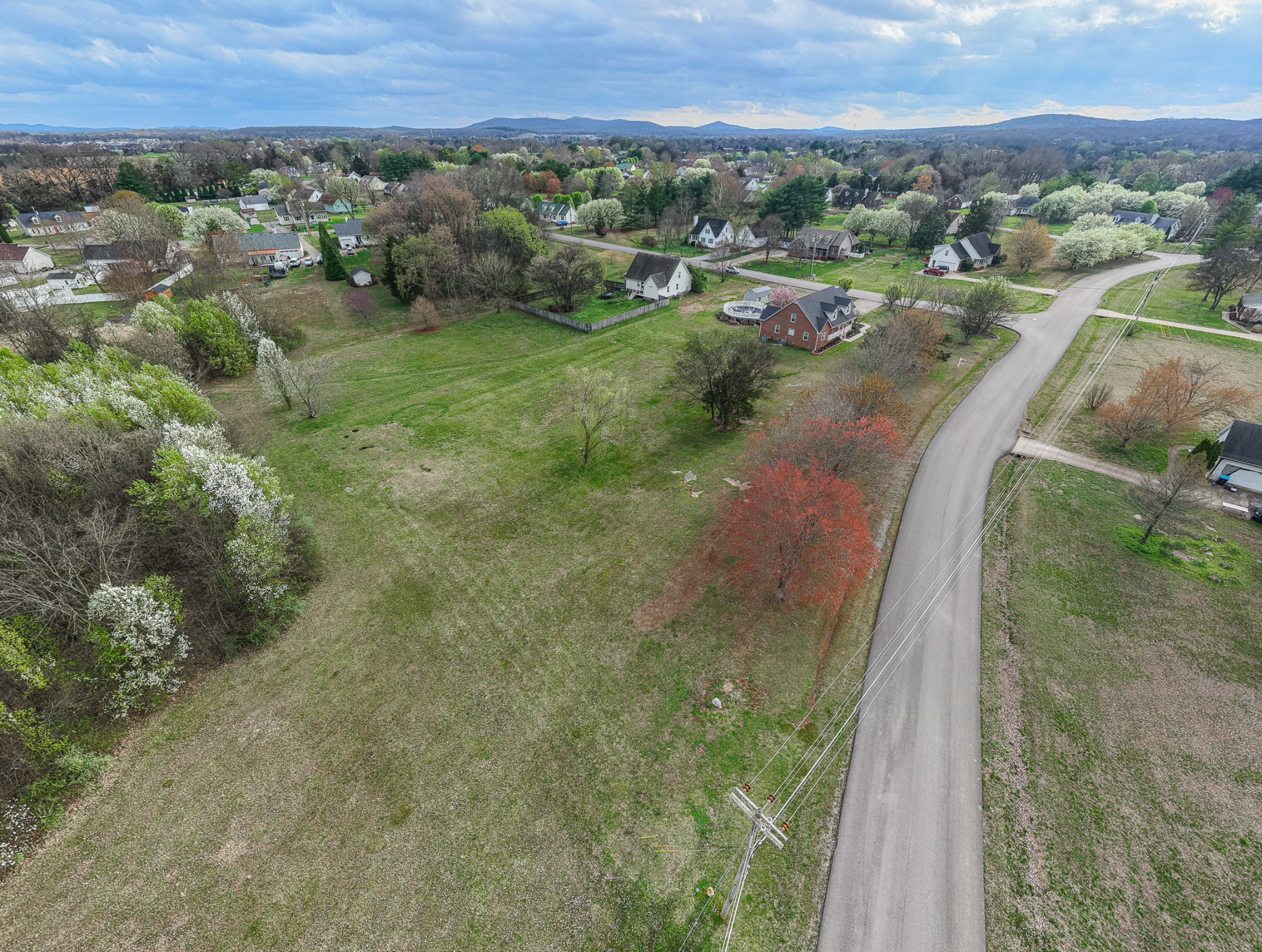 3145 Middleton Drive Rockvale, TN 37153 - Photo 43 of 50 a view of a city street view with tall trees